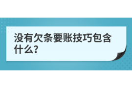 铜鼓铜鼓的要账公司在催收过程中的策略和技巧有哪些？